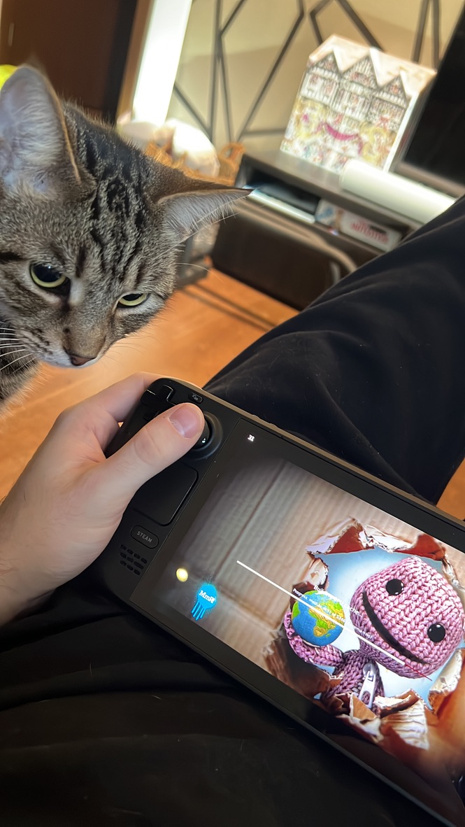 A Steam Deck running the game 'Little Big Plaet'. A cat looks judgementally at the device.